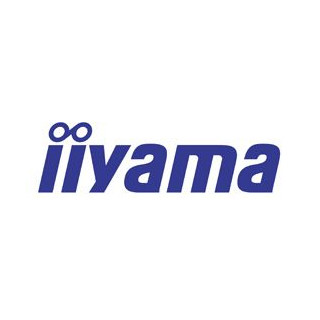 IIYAMA 19  54 Resistive
